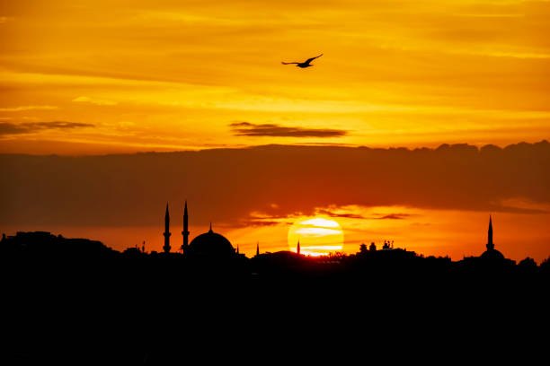 Istanbul USA 伊斯坦布爾