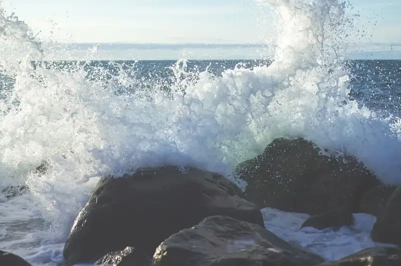 Beautiful shore landscape